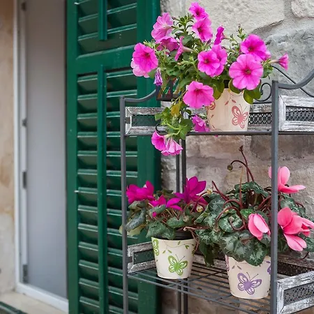 Apartament Phoenix Split